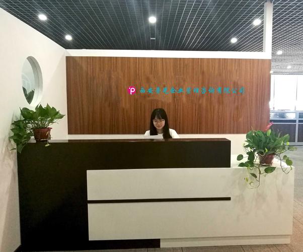 西安普光企业管理咨询 助力企业高质量发展的智慧之选
